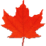 Maple Leaf