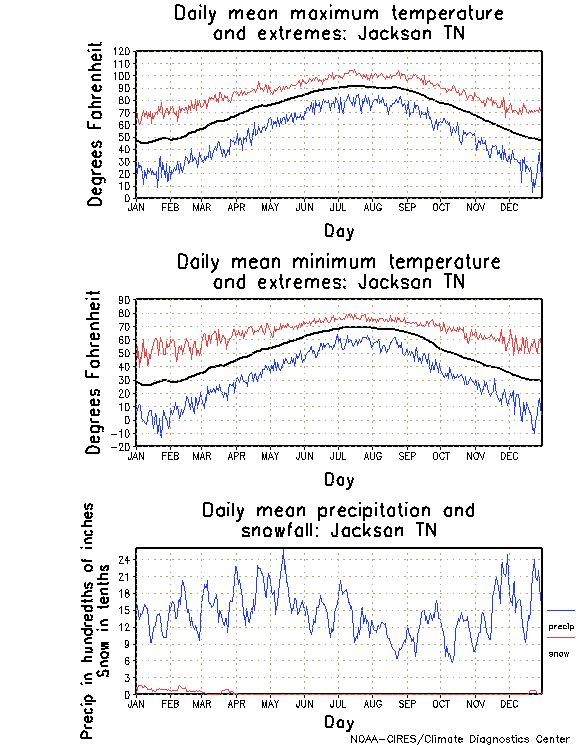 Jackson, Tennessee Annual Temperature Graph