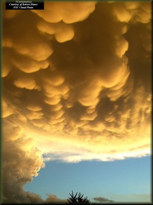 Mammatus